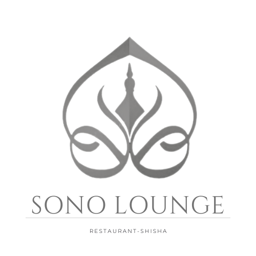 Sono-Vibes Logo